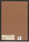 Auliscus speciosus A. Sch. (de-Toni-Nr.: Genus 171, Species 4384) Zeichnungen Sammlung Grunow Mappe 04333 (Herbarium_W_Grunow_drawings_Folder_04333)